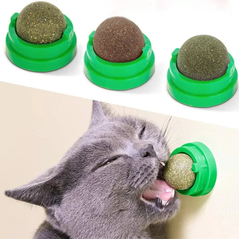 Rascador de Pared con Hierba Gatera y Snack Natural para Gatos