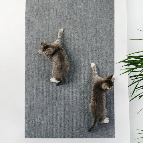 Alfombra Rascadora Autoadhesiva para Gatos – Protector de Muebles Recortable
