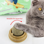 Rascador de Pared con Hierba Gatera y Snack Natural para Gatos