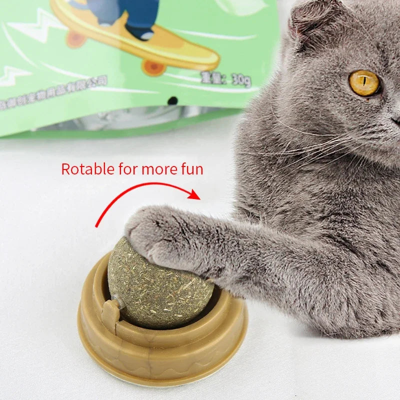 Rascador de Pared con Hierba Gatera y Snack Natural para Gatos